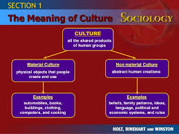 Cultural Diversity