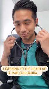 Dog Heart Murmur Breathing