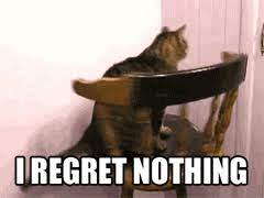 I Regret Nothing Cat Gif Cat Spinning I Regret Nothing Discover Share Gifs