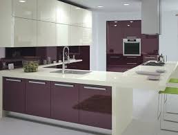 10 Sweet Purple Kitchen Ideas A Really Very Charming Design Aluminum Kitchen Cabinets Glossy Kitchen Gloss Kitchen Cabinets