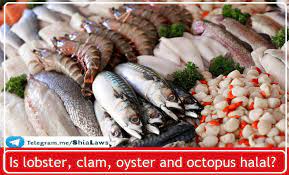 It will depend on whether the animal is harmful or not. Is Octopus Haram Octopus Khana Halal Ya Haram L Solve Your Problems Ask Mufti Tariq Masood Youtube Mucormycosis Is A Very Rare Infection