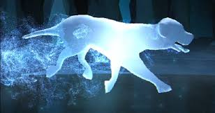 Creatures by ministry of magic division. Hogwarts Quiz What Is Your Harry Potter Spirit Animal Animal Quiz Spirit Animal Spirit Animal Quiz