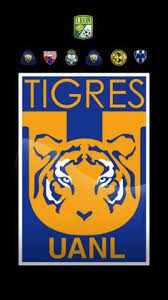 46,353 likes · 158 talking about this. 19 Tigres Uanl Ideas Tiger Art Soccer Shorts With Tights