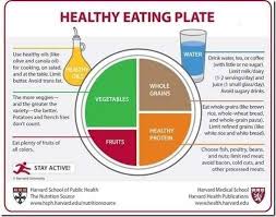 Harvards Food Pyramid Finally A Real Way To Eat Healthy Instead Of The Crappy Government Provided Lie Healthy Eating Plate Healthy Eating Pyramid Healthy Plate