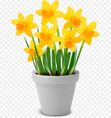 Taumatropio_fiori_e_vaso,_1825_frame_1.png ‎ (175 × 175 pixels, file size: Vaso Floreale A Fiori Scaricare Png Disegno Png Trasparente Fiore Png Scaricare