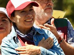 Realiza Sedema Restauratón en zona del Ajusto afectada por tala ilegal