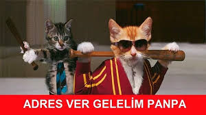 Internette Dolanan Kediler Uzerinden Donmus En Geyik 43 Caps Onedio Com