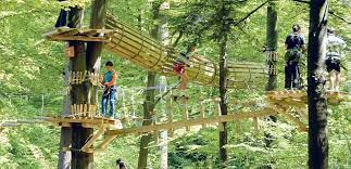 Parc aventura brasov, brasov, romania. Primul Parc De AventurÄ BraÈov PreÈ Program Èi Trasee