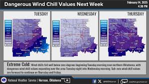 Image result for Wind Chill 2025 TX