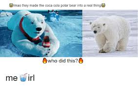 The best polar bear memes and images of november 2020. 5imao They Made The Coca Cola Polar Bear Into A Real Thing Who Did This 0 Coca Cola Meme On Me Me