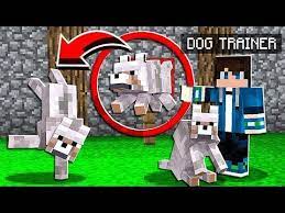 How To Train Wolves To Do Tricks In Minecraft Tutorial Youtube In 2021 Minecraft Tutorial Minecraft Creations Minecraft Crafts