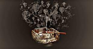 Kicking The Habit Psilocybin Mushrooms Proven To Help Long Term Smokers Quit
