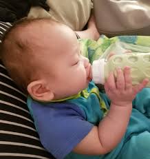 Expert Advice On Feeding Your Children Feeding Littles