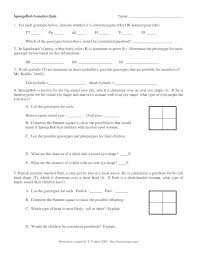 Create a punnett square to show the possibilities that would result if spongebob and spongesusie had children. Spongebob Genetics Answer Key Bikini Bottom Genetics Review Name Breed Pure Mice With Known Genotypes That Exhibit Specific Fur Colors And Learn How Traits Are Passed On Via Dominant And