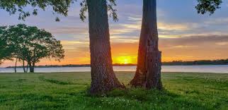 Only 70 miles from dallas. Campground Review Of Lake Tawakoni Rv Park In Texas Dnsadventures