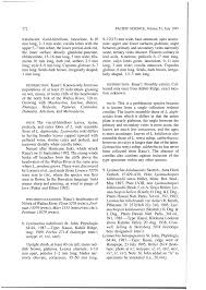 Image result for Isachne mauritiana