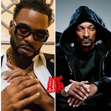 Snoop Dogg cares about only his w££d and checks. There's no other thing  that bothers him. He is the chilliest guy in the world. He's not a rapper  but a public persona.