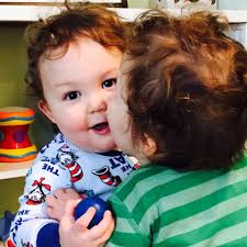 Adding grassy area to backyard for dogs?