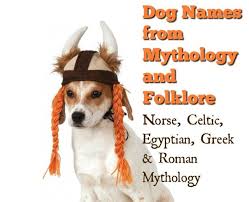 Black And White Names For Dogs Male 70 Unique Names For Dogs From Mythology And Folklore Dog Names Best Dog Names Dog Brain
