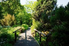 Für die botanische lehre und forschung werden auf einer fläche von etwa 3 ha ca. Botanischer Garten Stadt Giessen