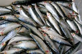 نتیجه جستجوی لغت [discards] در گوگل