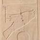 Sussex Egyptology Society: Raptors Unwrapped event image