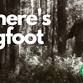 Where's Bigfoot 5k event image