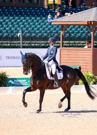 Sin coste para uso comercial sin necesidad de mencionar la fuente libre de derechos de autor. Dressage Para Dressage And Driving Test Events Boast Positive Response On First Day Of Competition The Plaid Horse Magazine