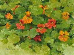 Nasturtiums By Steven Hileman Nasturtium Flower Painting Art
