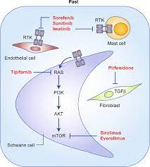 Translating Current Basic Research Into Future Therapies For  Neurofibromatosis Type 1 | British Journal Of Cancer