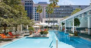 Image Result For Ivy Australia