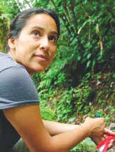 THE DOGGED AND DETERMINED