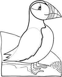 Bird Puffin Coloring Page Bird Embroidery Pattern Bird Coloring Pages Coloring Pages