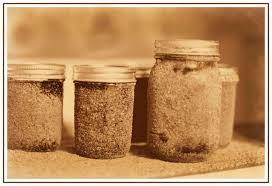 Knorr Pasta Side Dish Creamy Bacon Carbonara - 134 G | Wholesale Club