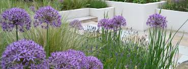 See what tracy gilbert (tracykgilbert) has discovered on pinterest, the world's biggest collection of ideas. Testimonials Garden Design Leeds Tracy Foster Garden Design