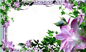 flower photo frames wallpaper for android apk download flower photo frames wallpaper for android apk download