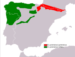 Pueden acontecer 1 ó 2 partos anuales, de los que nacería entre 1 y 5 crías por parto. Galemys Pyrenaicus Wikipedia La Enciclopedia Libre