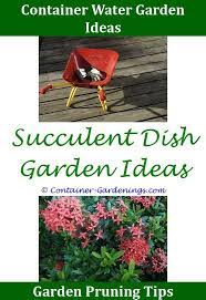 Gargen School Garden Project Ideas Gargen Cottage Front Garden Ideas Uk Garden Design Tips For Concrete Garden Backyard Garden Landscape Small Backyard Gardens