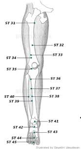 acupressure points chart acupressure points chart