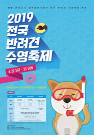 풍선에 강아지 매달아 공중에 날린 인도 유튜버…동물학대 체포 (영상). ê°•ì•„ì§€ê°€ ë‹¤ì´ë¹™ì„ 22ì¼ ê´'ì£¼ì„œ ë°˜ë ¤ê²¬ ìˆ˜ì˜ì¶•ì œ ì—°í•©ë‰´ìŠ¤