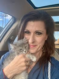 Pet transportation service in Yuma