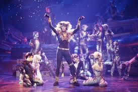 Cats On Screen Cats The Musical Cats The Musical Costume Cats Musical Musicals