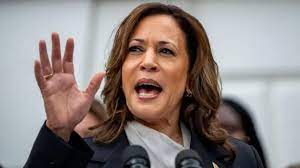 Kamala Harris interview: Democratic presidential nominee defend her policy on key issues for first interview - BBC News Pidgin