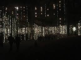 Pin By Abbey Haines On One Day If I Have A Pal I Ll Take Them Here Callaway Gardens Lights Fantasy