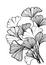 Ginkgo Tree Printable Wall Art Black And White Graphic Etsy Line Art Drawings Leaf Drawing Illustration Art Design