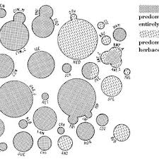 Image result for Calycosiphonia spathicalyx