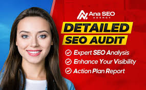 Ana SEO Agency