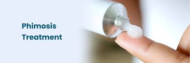 Image result for Phimosis