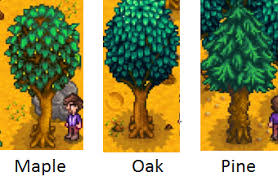 Maple syrup is one of the important ingredients in stardew valley. How Exactly Does The Tapper Work Arqade