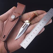 Free shipping on prime eligible orders. Small Mini 10cm Classic Style Bowie Knife Brass Guard Fixed Blade Knife With Sheath Edc Gift Wish